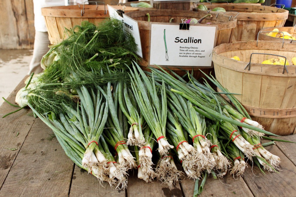 scallions